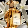 Jasmin Grandiflorum Extrait 30 – ekstrakt