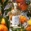 Mandarine Basilic – woda toaletowa Mandarine Basilic – woda toaletowa