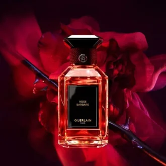 Rose Barbare – woda perfumowana