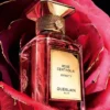 Rose Centifolia Extrait 1 – ekstrakt